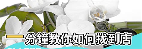 店舖財位|【店鋪風水局】旺財8要素 